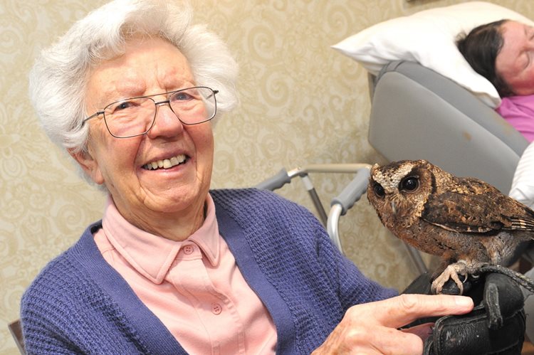 Ware care home residents take birdwatch weekend to the ‘nest’ level